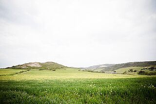 Weinberge von David & Nadia