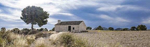 Jumilla und La Mancha