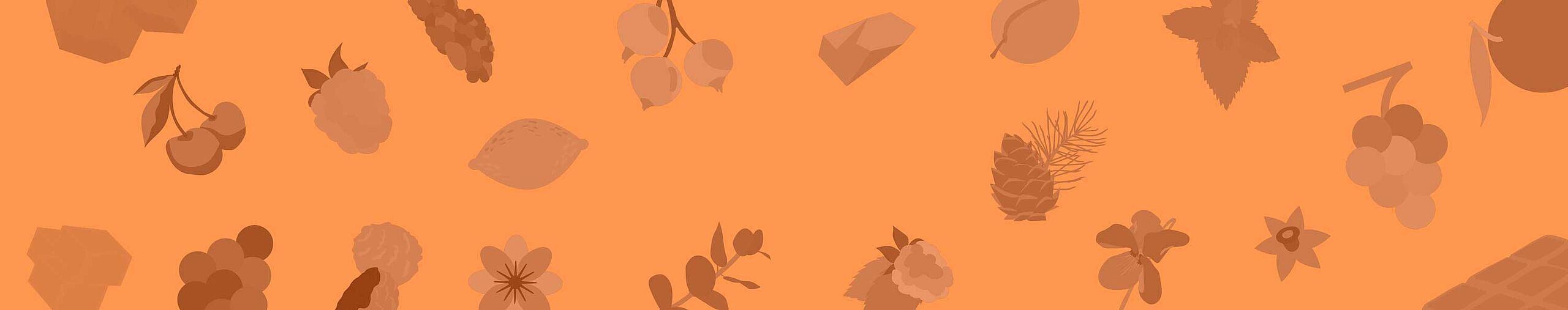 Illustration mit verschiedenen Pflanzen