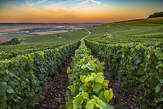 Sub 2025 aus Frankreich