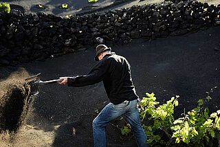 Feldarbeit bei Puro Rofe Feldarbeit bei Puro Rofe