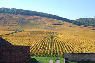 Panorama von Vosne-Romenée