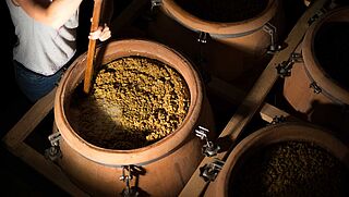 Maische im Fass, Weinkeller