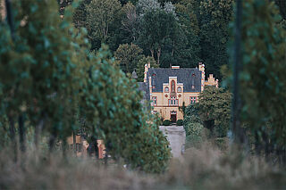 Das Weingut Grünhaus