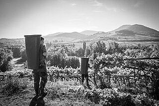 Feldarbeit bei Rebholz Feldarbeit bei Rebholz