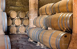 Weinkeller und Weinfaesser Anima Negra