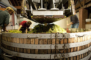 Dynamikken i Champagne