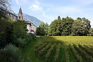Weinberge von Alois Lageder