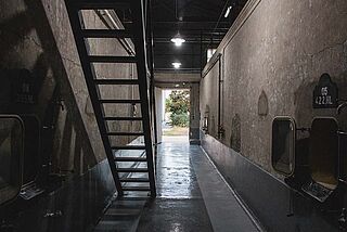 Weinkeller Finca Feliz