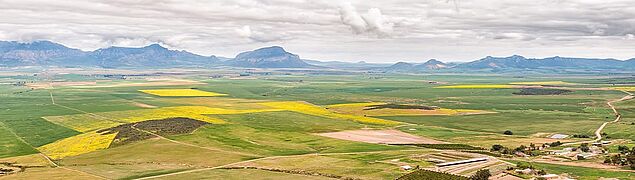 Swartland vinregion