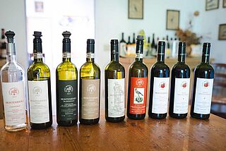 Weinprobe bei Montenidoli