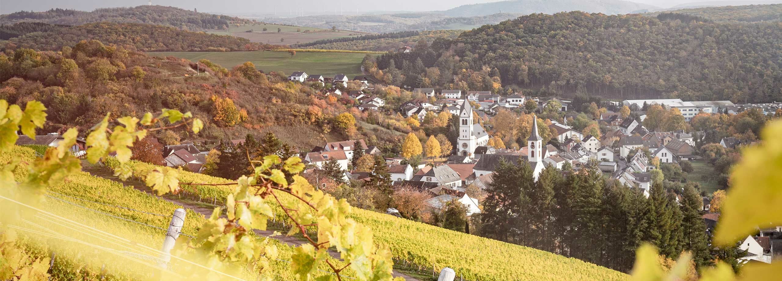 Wein Deutschland Nahe