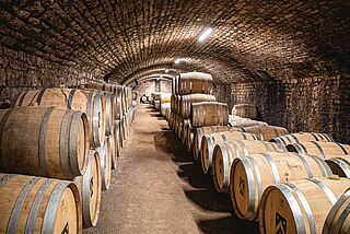 Kellergewölbe mit Weinfässern