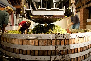 Kellerarbeit bei Laherte Frères Kellerarbeit bei Laherte Frères