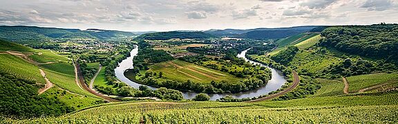 Mosel Saar ruwer Weingebiet