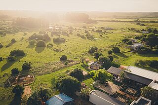 Michelini i Mufatto Vingård