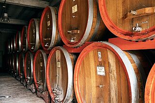 Weinkeller Vasco Sassetti