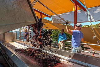 Paul Draper and Eric Baugher