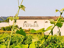 Chateau Paradis
