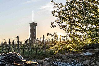 Turm und Weinfeld des Weinguts Heiligenblut Turm und Weinfeld des Weinguts Heiligenblut