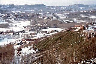 Weinberg und Weinfelder im Winter