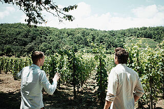 Elias hos Chapoutier