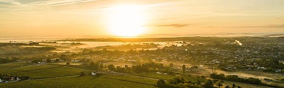 Cognac - Armagnac vinregion