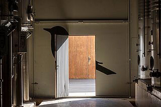 Weinkeller Viña Zorzal