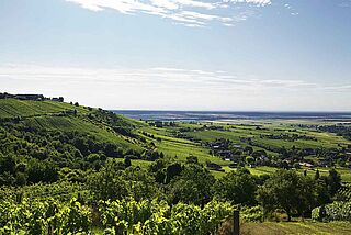 Krutzlers Weinberge Krutzlers Weinberge