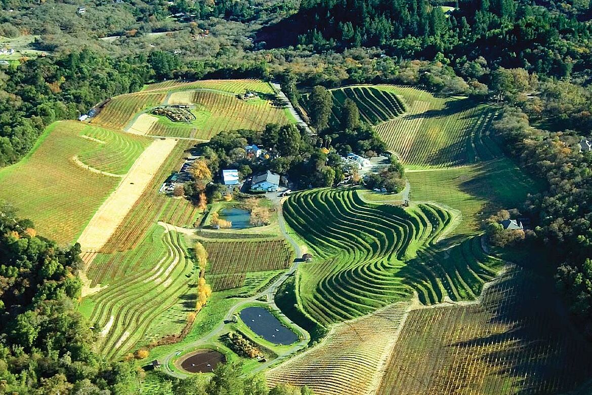 Benziger Winery