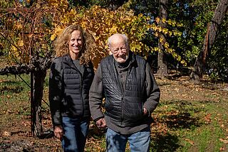 Philip Togni Vineyard