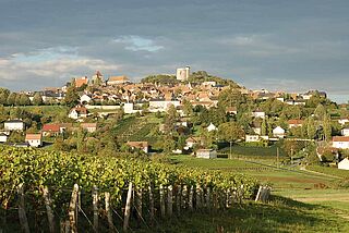 Weinberg mit Blick auf die Stadt Domaine Vacheron