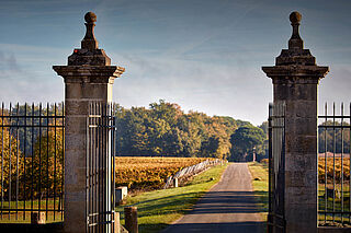 Bordeaux Region