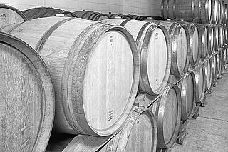 Aurore Casanovas vinkælder