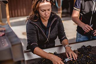 Weinverarbeitung bei dem Weingut Amiot-Servelle Weinverarbeitung bei dem Weingut Amiot-Servelle