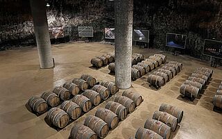 Weinkeller Can Rafols dels Caus aus der Vogelperspektive