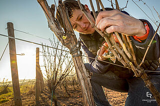 Domaine Anita