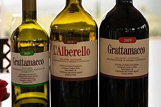 Vinflasker fra vingården Grattamacco Vinflasker fra vingården Grattamacco