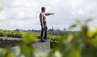 Gunter Künstler zeigt auf seine Weinberge