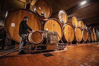 Weinkeller von Prunotto