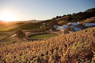 Weinberge von Shafer Vineyards