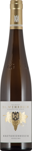 Riesling Kastanienbusch aus dem Rotliegenden Großes Gewächs 2021