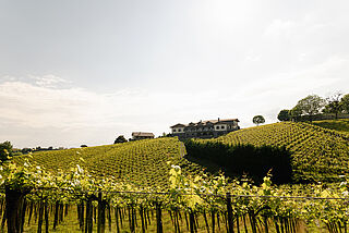 Bodegas Artadi – Txakoli