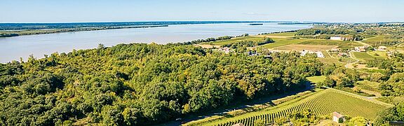 Cote des Bourg Weinregion
