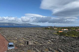 Azorernes vinkompagni