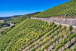 Weinberge Rudolf May Himmelspfad