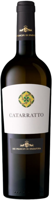 Catarratto 2021