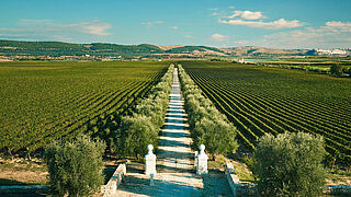 Die Landschaft Apuliens