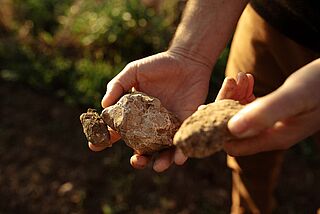 Battenfeld-Spanier & Kühling-Gillot