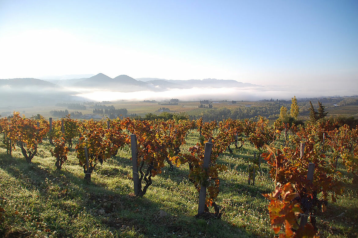Eine Reise durchs Rhônetal